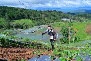 BIB: 
                            <button type="button" onclick="openModal(13379319)" class="btn btn-primary btn-sm float-right btn-popup" data-toggle="modal" data-target=".modal-high-quality">
                        <i class="fas fa-shopping-cart"></i> Add to Cart
                    </button>
                                            <button type="button" onclick="isThisMe(13379319, true)" class="btn btn-success btn-sm float-right btn-popup btn-isme hidden" data-toggle="tooltip" data-placement="bottom" title="นี่คือรูปของคุณใช่ไหม คลิกที่นี่เพื่อเอาเข้าอัลบั้ม">
                        <i class="fas fa-plus"></i> Add to album
                    </button>
                    <button type="button" onclick="isThisMe(13379319, false)" class="btn btn-warning btn-sm float-right btn-popup btn-isnotme hidden">
                        <i class="fas fa-ban"></i> Remove from album
                    </button>